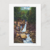 バーリントンの近くのバッシュビッシュ滝の素晴らし見解 ポストカード (正面)