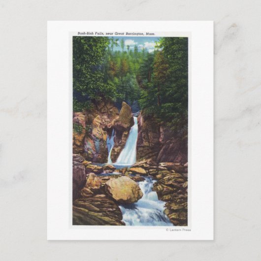 バーリントンの近くのバッシュビッシュ滝の素晴らし見解 ポストカード (正面)