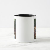 バーリントンの近くのバッシュビッシュ滝の素晴らし見解 マグカップ (中央)