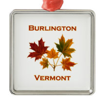 バーリントンヴァーモントの紅葉-かえでの葉