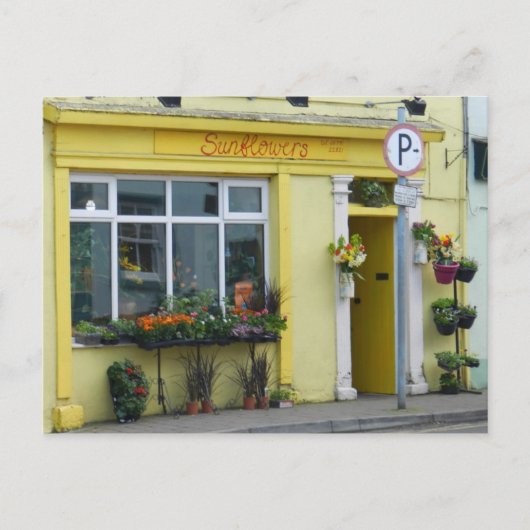 バールの花屋 – アイルランド ポストカード (正面)