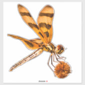 バールリードでバンダントドラゴンフライをクローズアップ シール (シート)