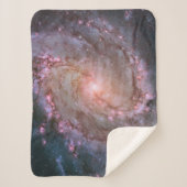 バーレッドスパイラル銀河系メシエ83. シェルパブランケット (正面)