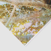 バーレッドフクロウティッシュペーパー 薄葉紙 (詳細)