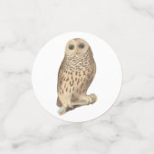 バーレッドフクロウ – 誕生日またはその他のパーティーをテーマにしたイベント コンフェッティ (スモール正面)