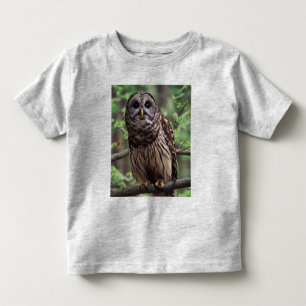 バーレッドフクロウTシャツ トドラーTシャツ