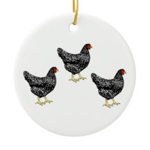 バーレッドプリマス伝統飼育鶏