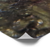 バーレッド・ハムレット ポスター (角)