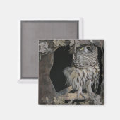 バーレッド・フクロウ – お前を見ている！ マグネット (正面/裏面)