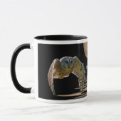 バーレッド·フクロウ マグカップ (左)