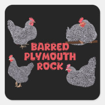 バーレッド・プリマス・ロック・チキンズ