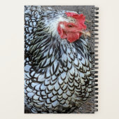 バーレッド・プリマス・ロック・チキン ノートブック (裏面)