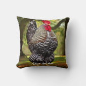 バーレッド・プリマス・ロック・ルースター クッション (正面)