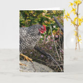 バーレッド・ロック・ヘン カード (黄色い花)