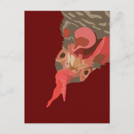 バーレッド・ロック・ヘン ポストカード