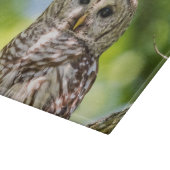 バーレドフクロウ カッティングボード (角)