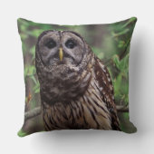 バーレドフクロウ クッション (裏面)