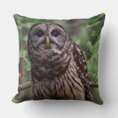 バーレドフクロウ クッション (正面)