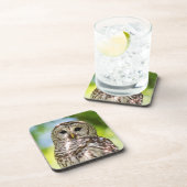 バーレドフクロウ コースター (右側)