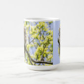 バーレドフクロウ コーヒーマグカップ (中央)