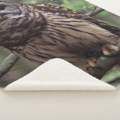 バーレドフクロウ シェルパブランケット (3/4)