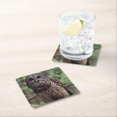 バーレドフクロウ スクエアペーパーコースター (インサイチュ)