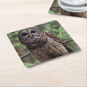 バーレドフクロウ スクエアペーパーコースター (アングル)