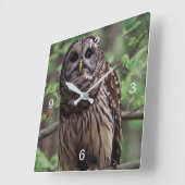 バーレドフクロウ スクエア壁時計 (傾斜)