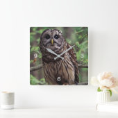 バーレドフクロウ スクエア壁時計 (ホーム)