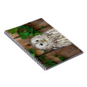 バーレドフクロウ ノートブック (右側)