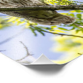 バーレドフクロウ フォトプリント            (角)