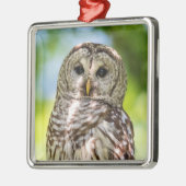 バーレドフクロウ メタルオーナメント (左)