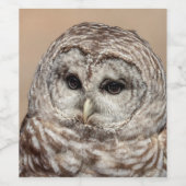 バーレドフクロウ ワインラベル (シングルラベル)