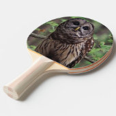 バーレドフクロウ 卓球ラケット (正面アングル)
