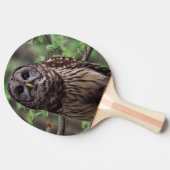 バーレドフクロウ 卓球ラケット (横)
