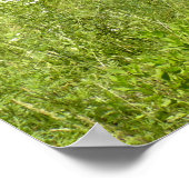 バーンアンドアウトハウス ポスター (角)