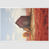 バーンインウィンター2デコページ紙 薄葉紙 (正面)