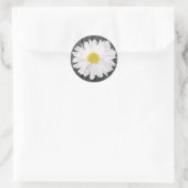 バーンウッドとデイジーシール ラウンドシール (バッグ)