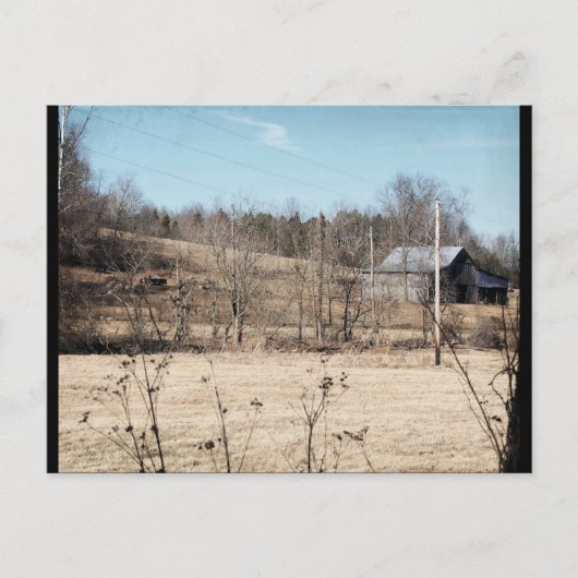 バーンオンアヒル ポストカード (正面)