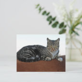 バーンキャットオンダンニット ポストカード (スタンド正面)