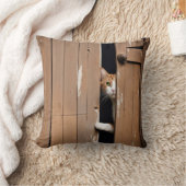 バーンキャットピーキングドのまわりにア クッション (ブランケット)