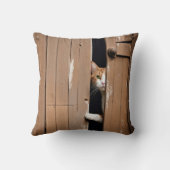 バーンキャットピーキングドのまわりにア クッション (裏面)