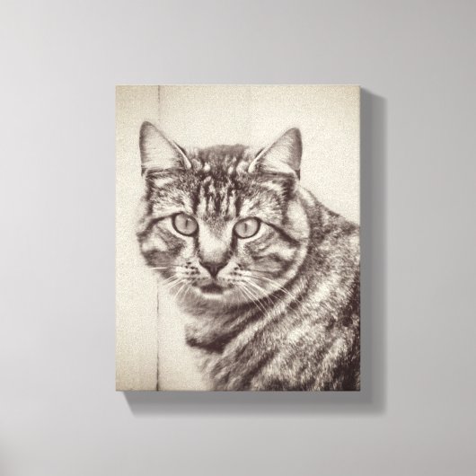 バーンキャットファームアニマルズ8 x 10 キャンバスプリント (正面)