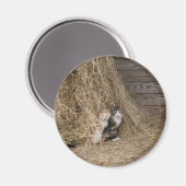 バーンキャットマグネット マグネット (正面/裏面)