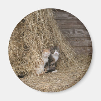 バーンキャットマグネット マグネット