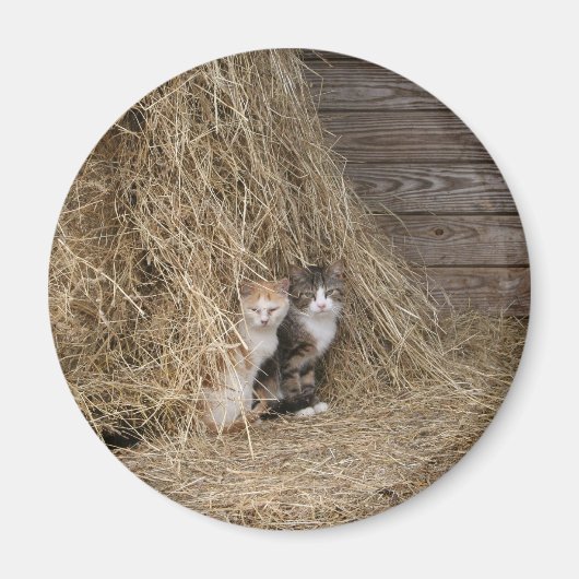 バーンキャットマグネット マグネット (正面)