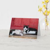 バーンキャット誕生日 カード (黄色い花)