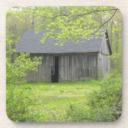 バーンコースター コースター (正面)