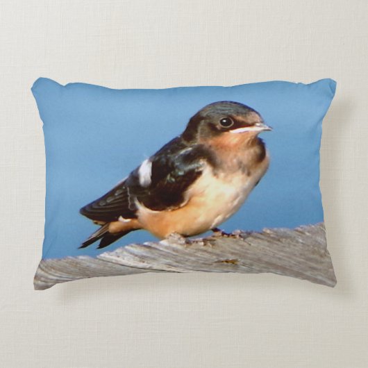 バーンスワローアクセント枕 アクセントクッション (正面)