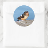 バーンスワローステッカー ラウンドシール (バッグ)